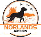 Norlands Gundogs